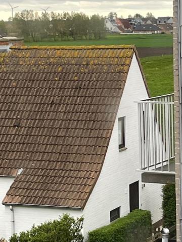 The Pipers Bed & Breakfast Middelkerke Luaran gambar